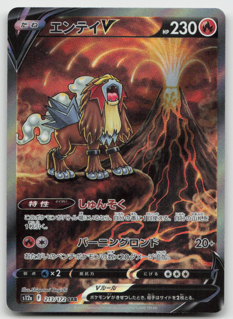 Entei V 213/172 Special Art Rare VSTAR Universe Pokemon Japanese Holo NM