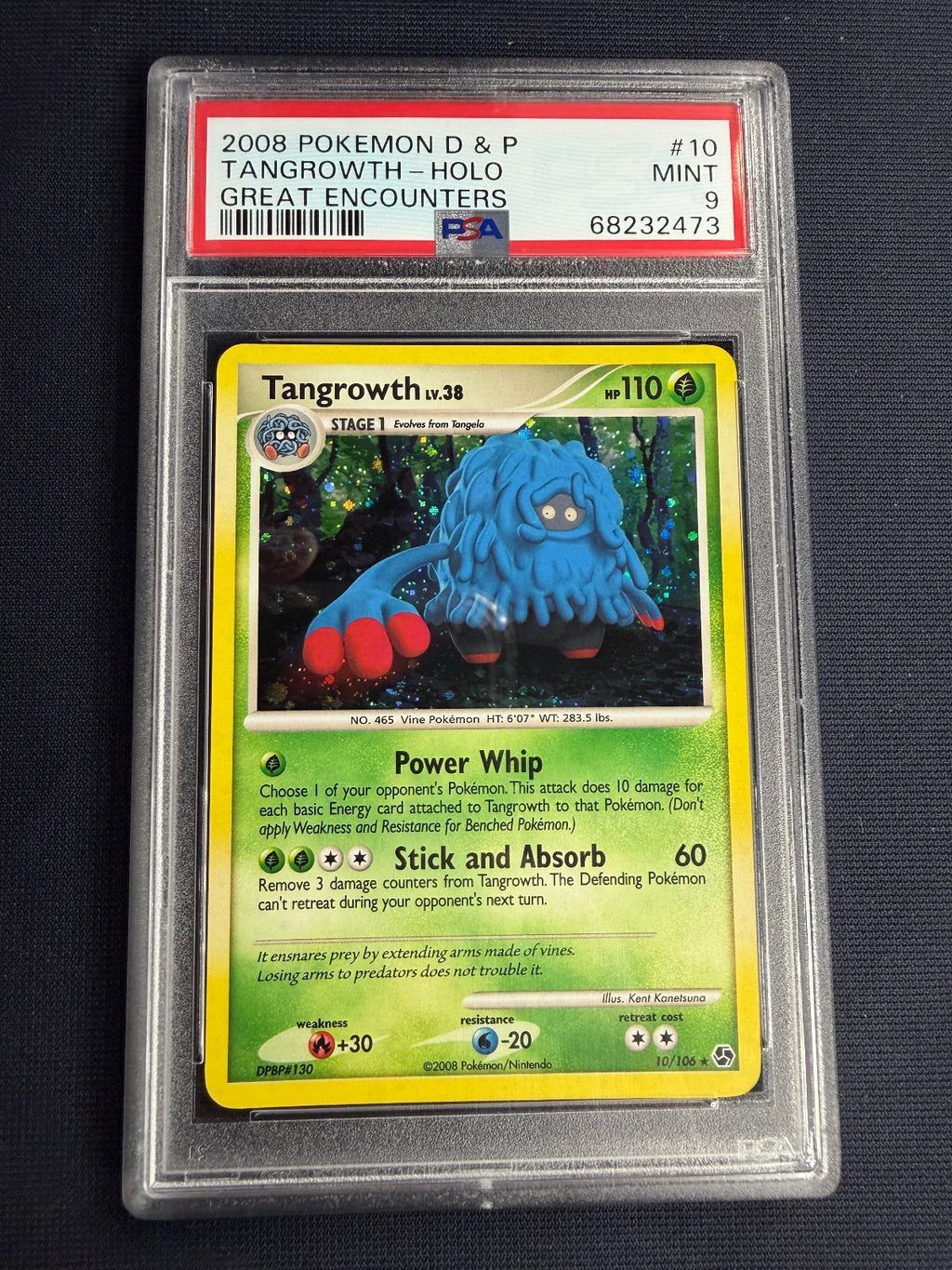 Tangrowth Holo 10/106 Great Encounters Pokemon PSA 9