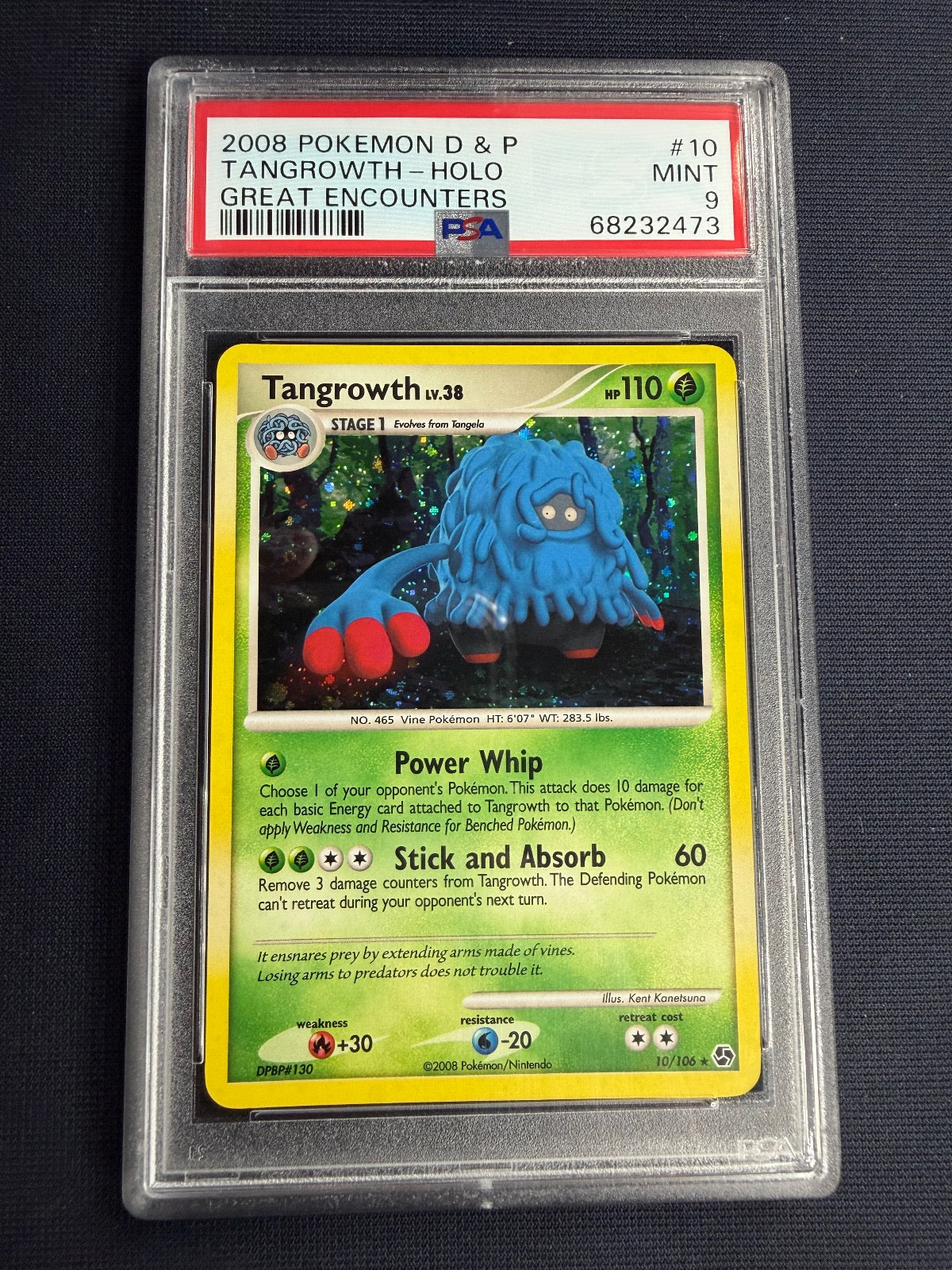 Tangrowth Holo 10/106 Great Encounters Pokemon PSA 9