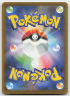 Surfer 249/193 Special Art Rare MEGA Dream ex Pokemon Japanese Holo NM