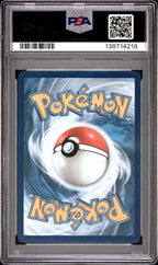 Pikachu Vmax 062 Box Swsh Black Star Promo Pokemon PSA 10